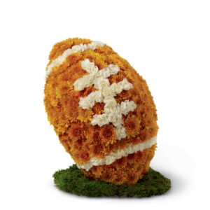 Football 3D