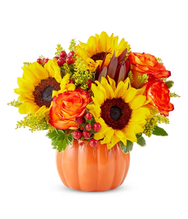 Fall & Thanksgiving 2026 #10