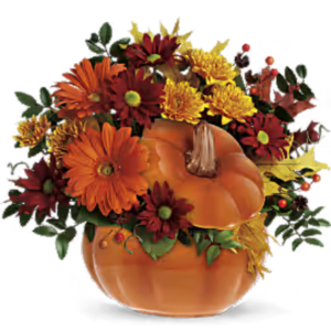 Fall & Thanksgiving 2026 #2