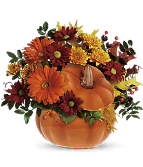 Fall & Thanksgiving 2026 #2