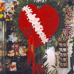 Red Broken Heart