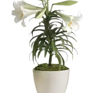 Spring / Easter 2026 #1