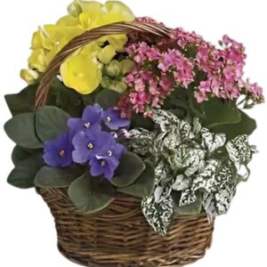 Spring / Easter 2026 #13