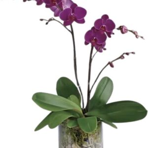 Spring / Easter 2026 #14