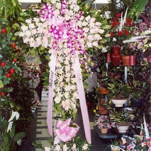 Standing Cross